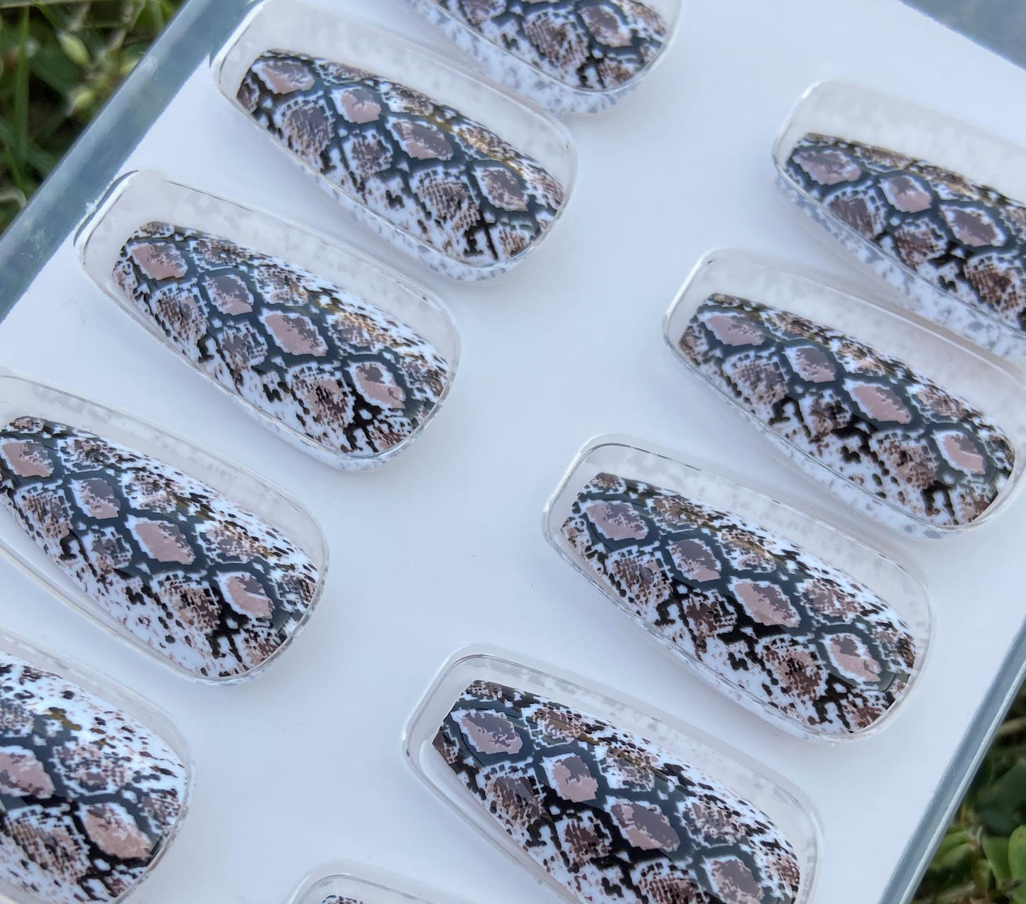 Medusa | Medium Coffin